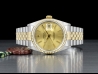 劳力士 (Rolex) Datejust 36 Champagne Jubilee Crissy Dial 16233 